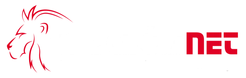 KöyceğizNet logosu