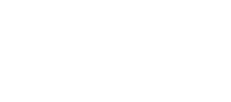MarselNet logosu