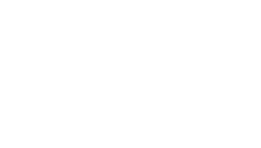 SpeedX logosu